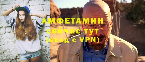 шишки Осинники